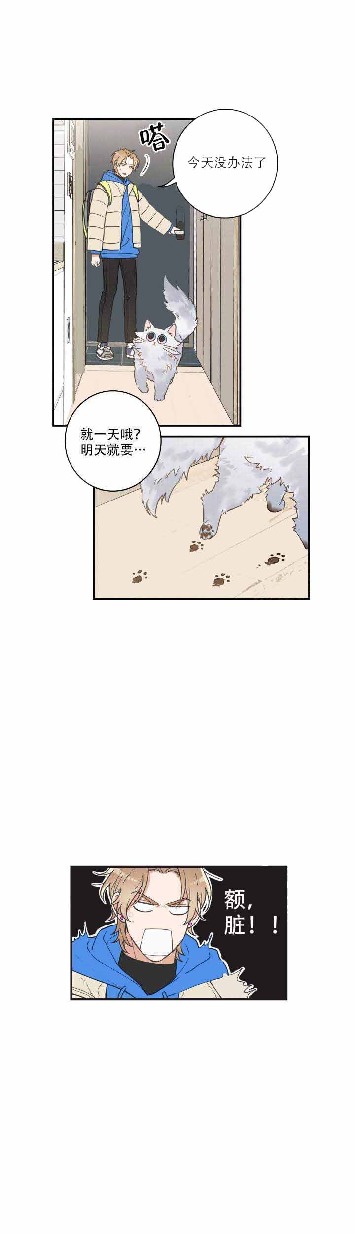 我的唯一猫猫漫画漫画,第3话2图