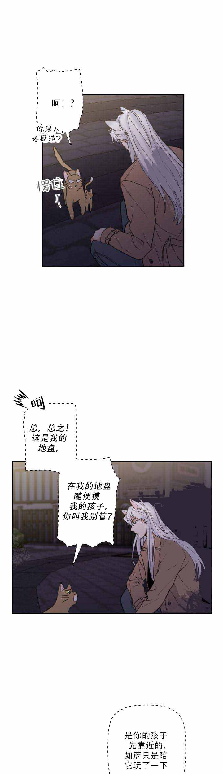 我唯一的猫猫漫画,第18话2图