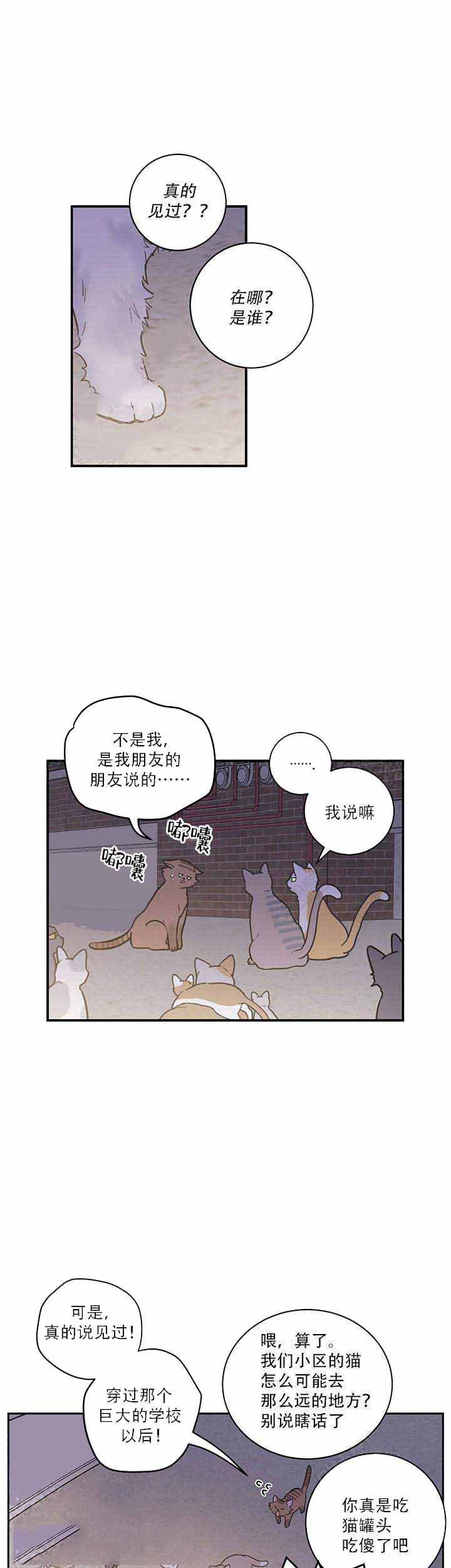 我唯一的猫猫漫画,第1话4图