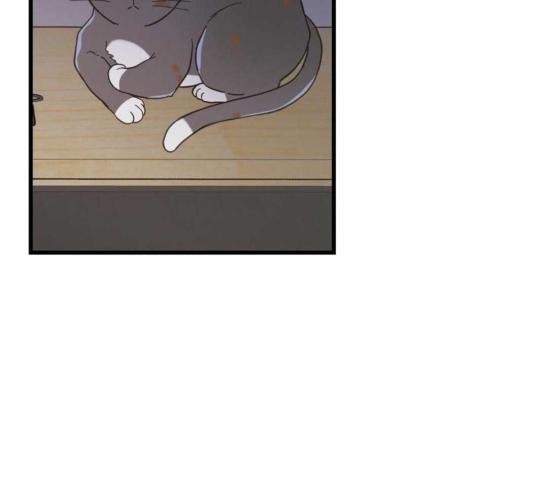 我唯一的猫猫漫画,第37话2图