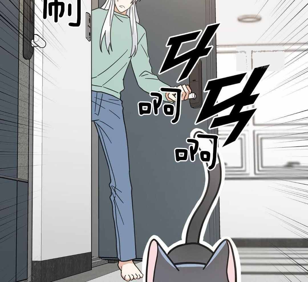 我的唯一猫猫漫画漫画,第46话2图