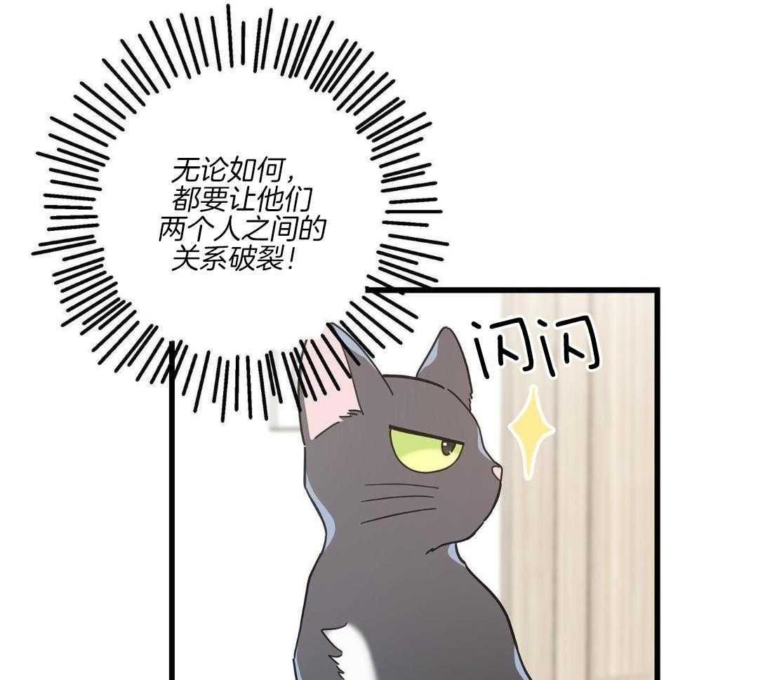 我唯一的猫猫漫画免费全集漫画,第44话3图