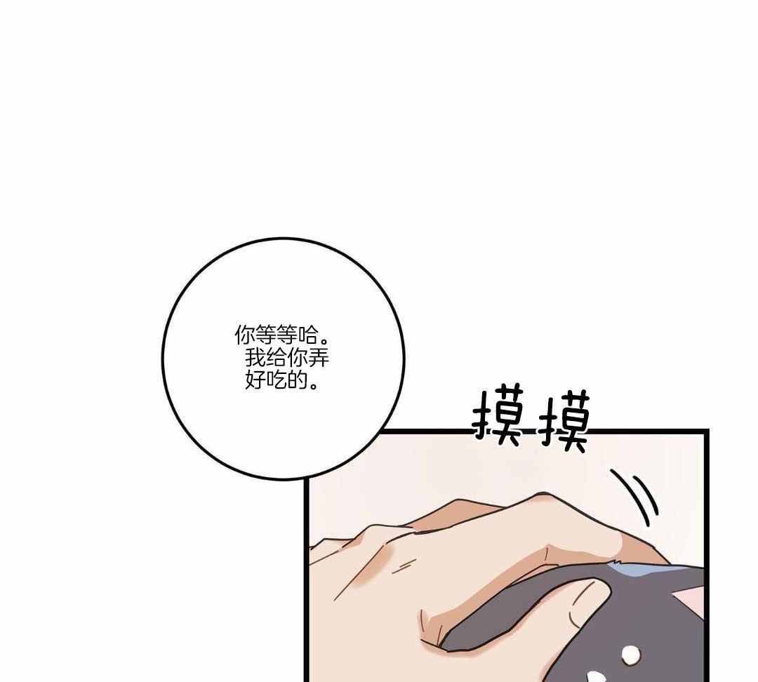 我唯一的猫猫sonyeon漫画,第35话3图