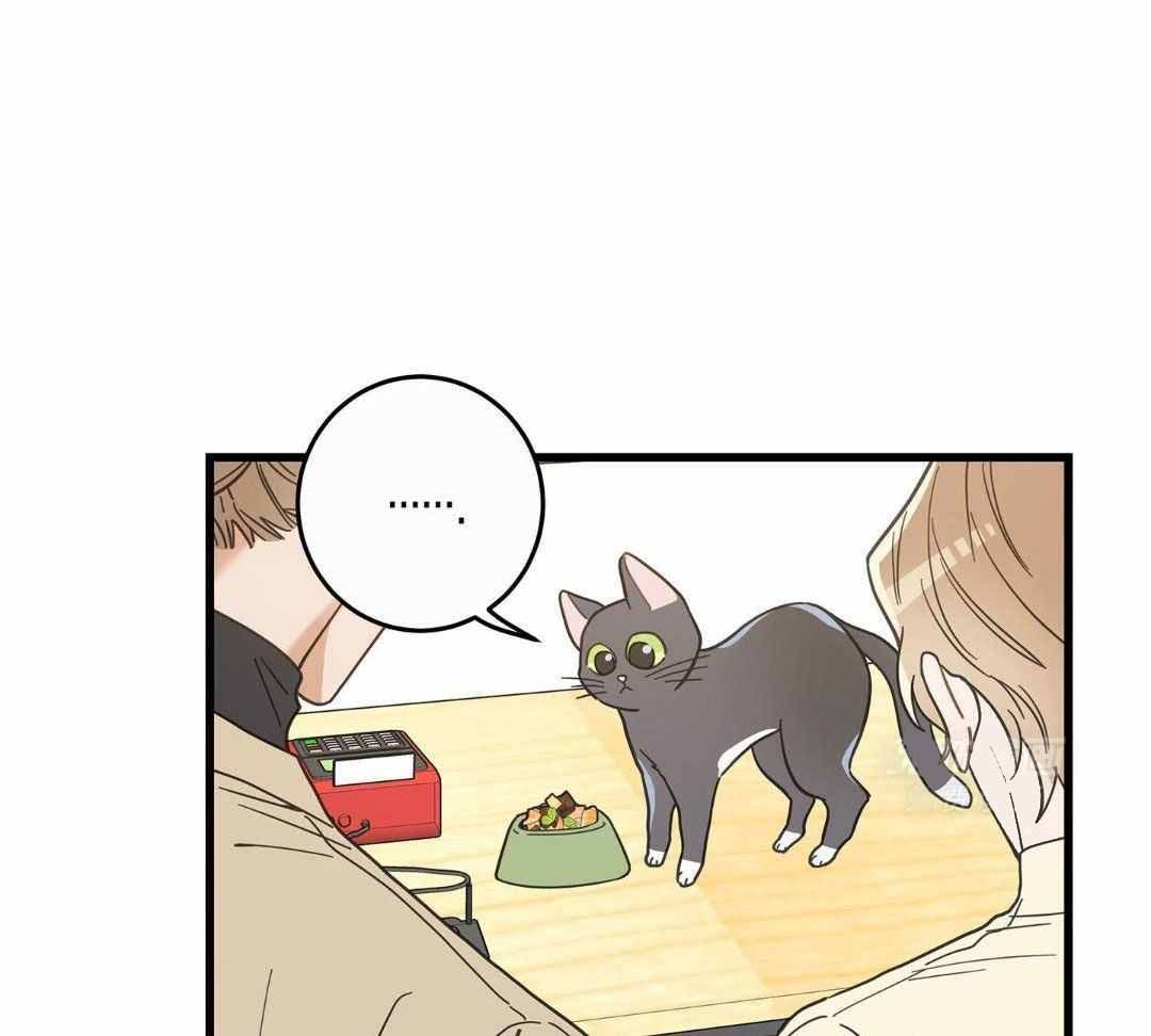 我唯一的猫猫sonyeon漫画,第35话2图