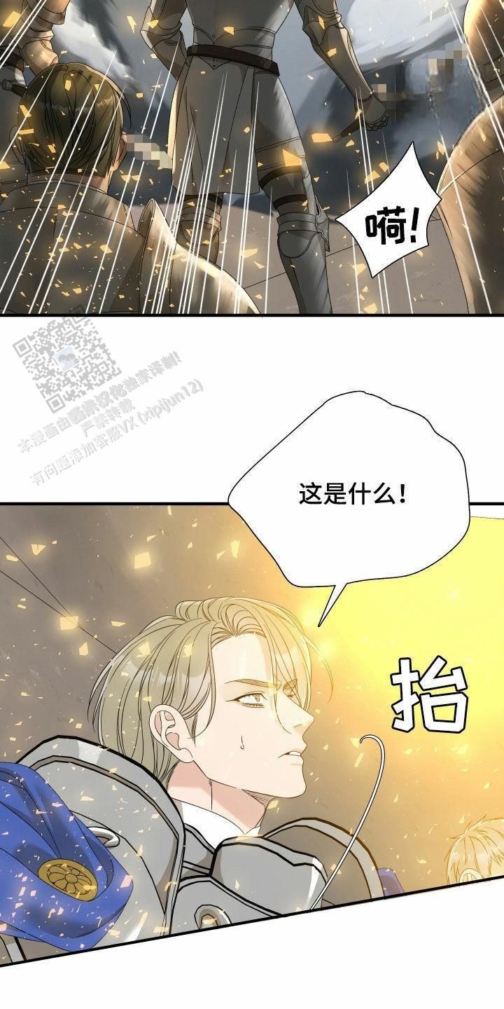 帝国血脉士麦那卡普里免费阅读漫画,第125话2图