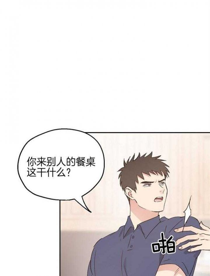 爱情公寓抛硬币漫画,第44话4图