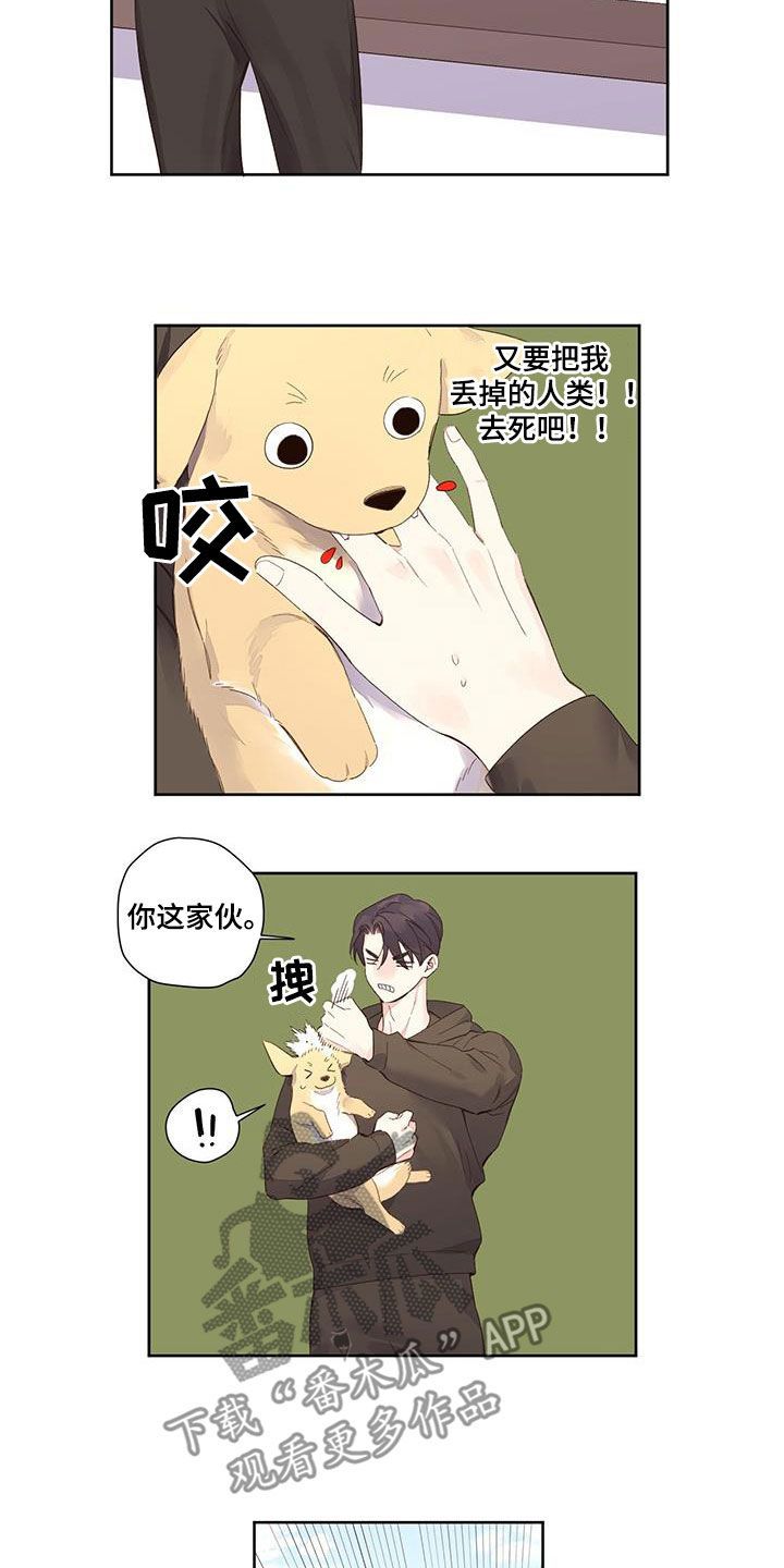 月抛恋人漫画,第167话3图