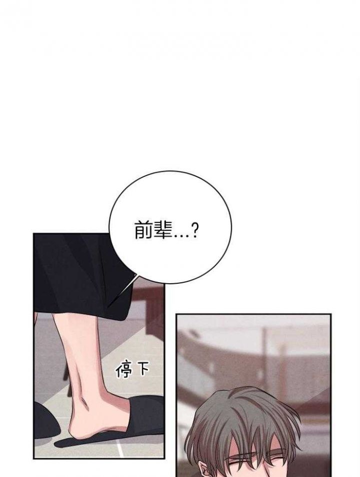 珊瑚是腔肠动物吗漫画,第47话1图