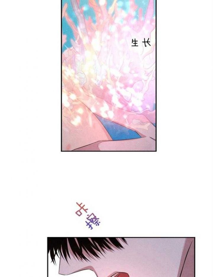 珊瑚是生物吗为什么漫画,第68话3图