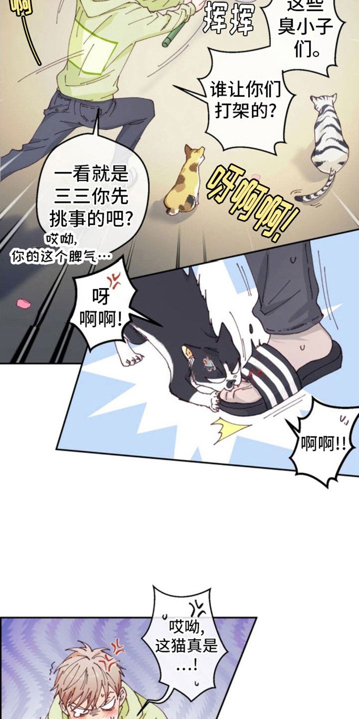 吃掉小公猫漫画漫画,第1话2图