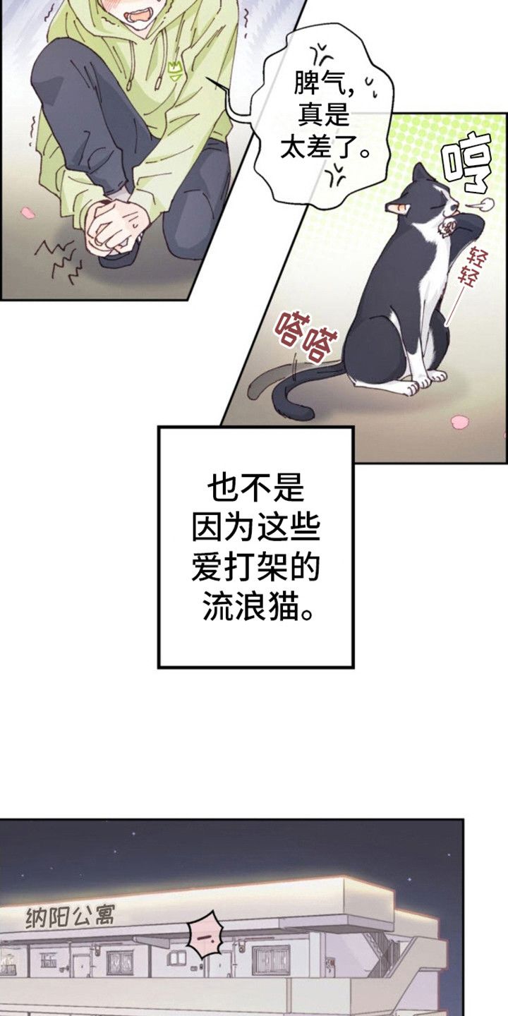 吃掉小可爱漫画漫画,第1话3图