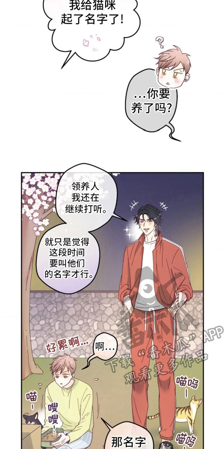 投喂小可爱漫画,第8话4图