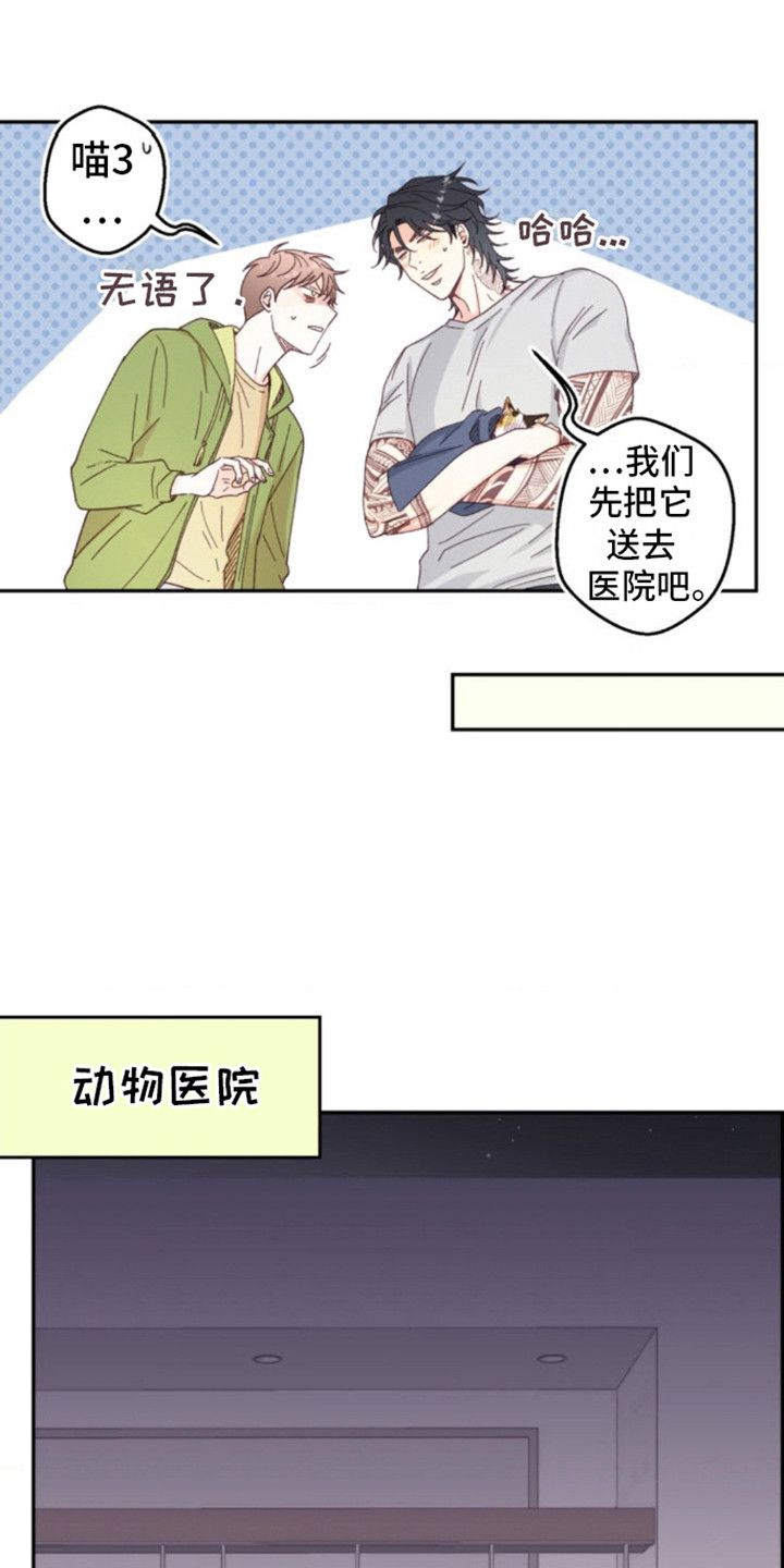 吃掉可爱的小猫咪漫画,第6话3图