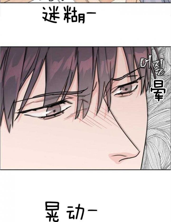 部长不可以说谎哦免费阅读漫画,第47话5图