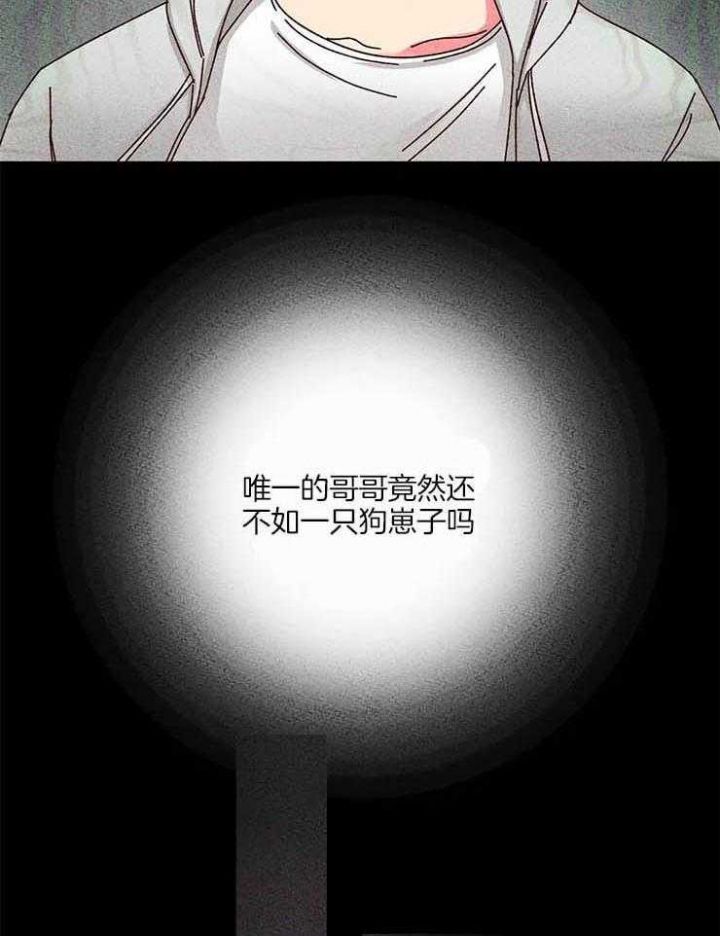 理事的甜点动漫全集免费观看漫画,第54话2图