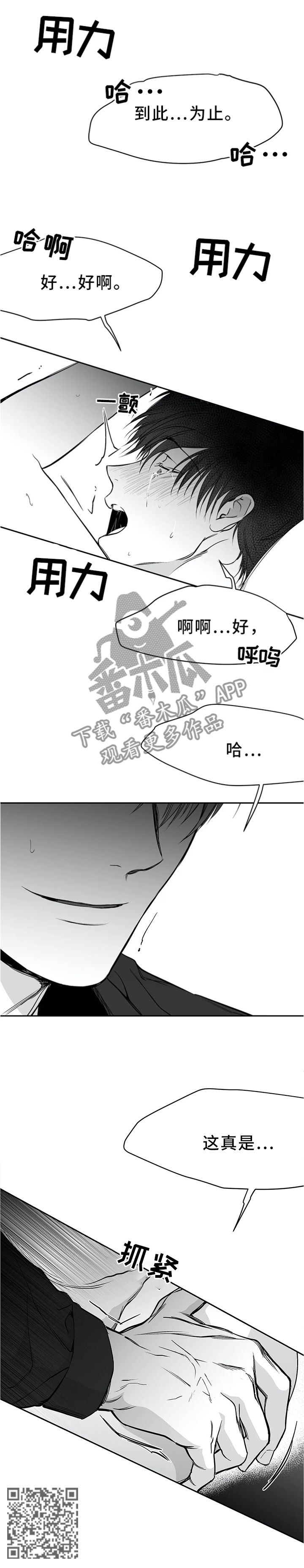 拳击手套品牌漫画,第57话5图