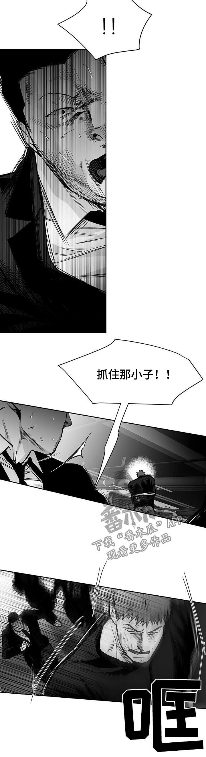 拳击手套尺寸对照表漫画,第118话3图