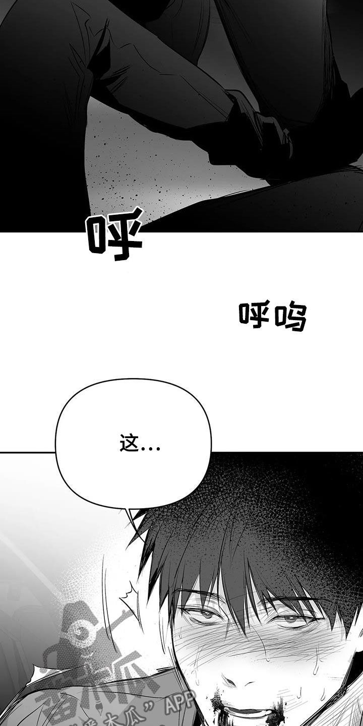 拳击手维尔德年龄漫画,第186话1图