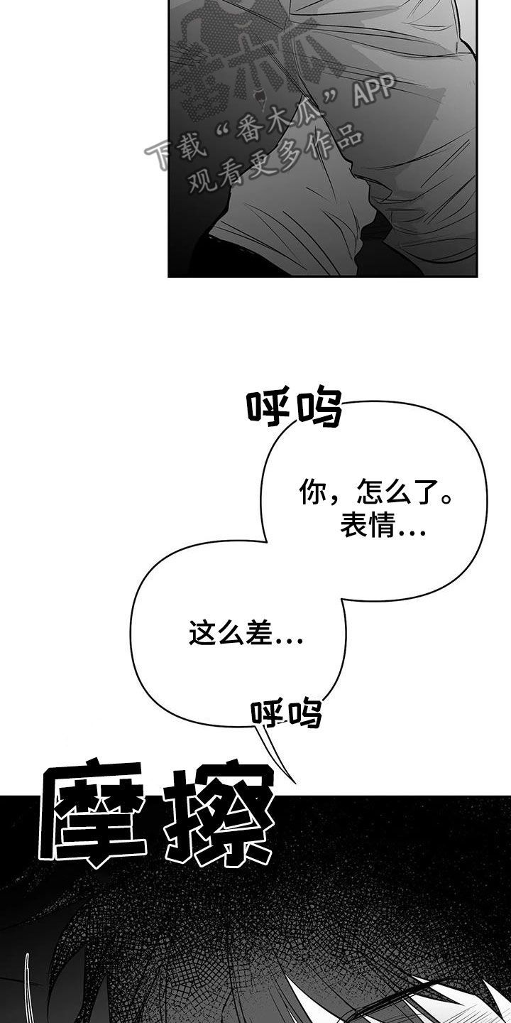 拳击手套多少钱一双漫画,第186话5图