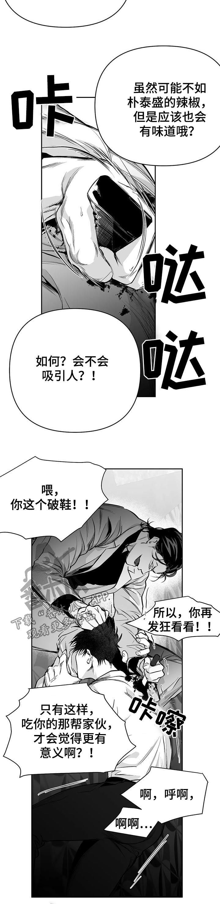 拳击手英语漫画,第86话5图