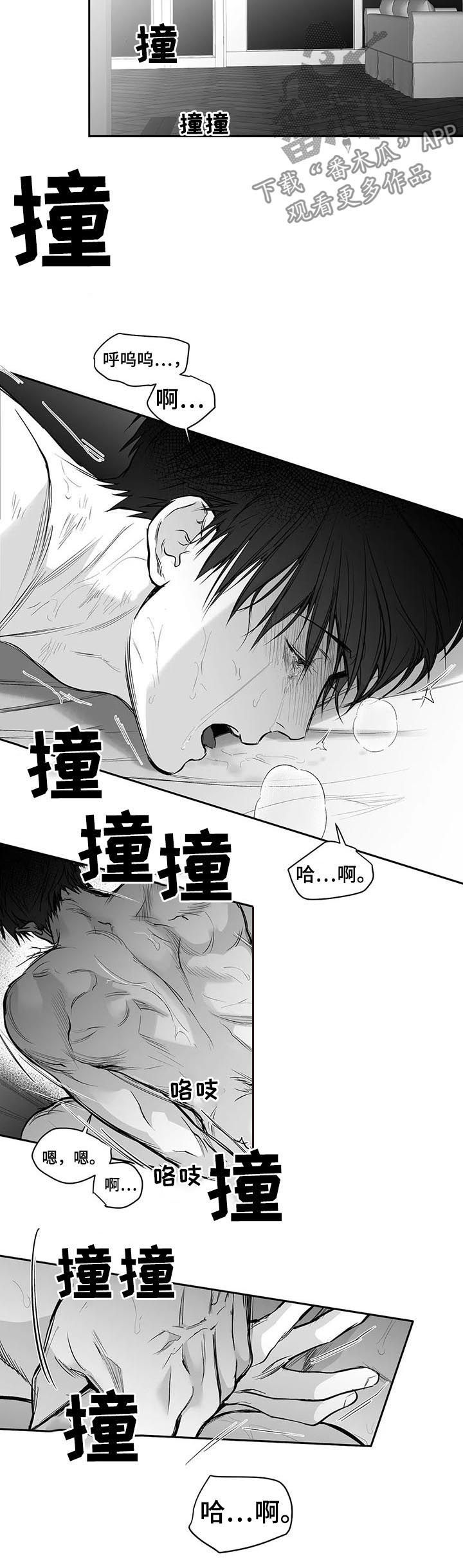 拳击手先生轻点宠漫画,第112话2图