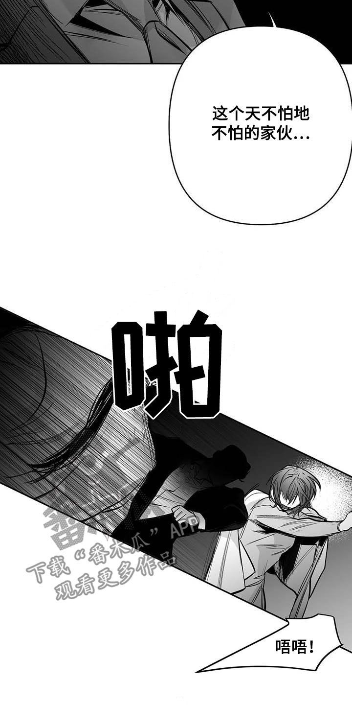 拳击手套英语漫画,第160话5图