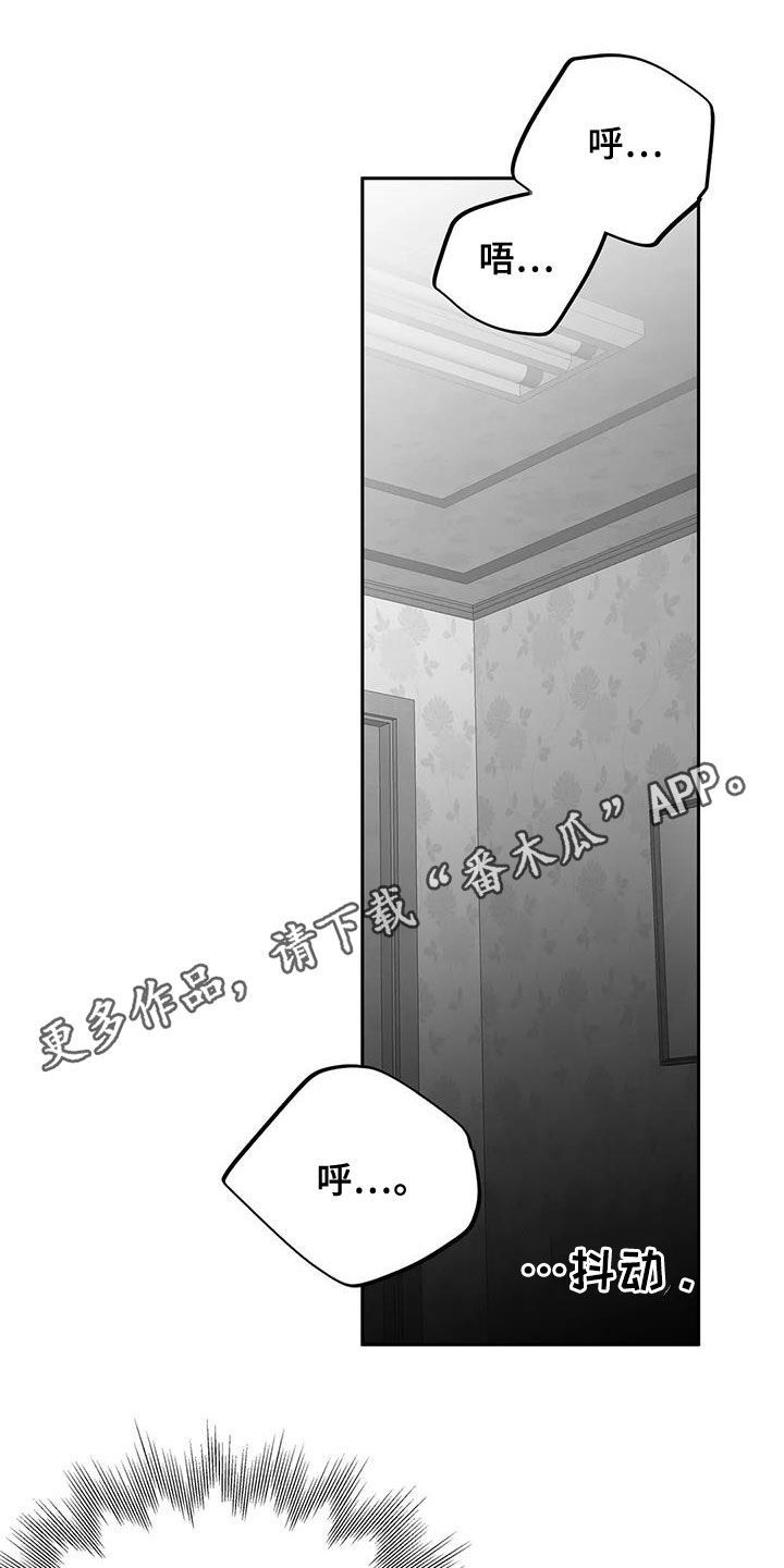 拳击手套多少钱一双漫画,第171话1图