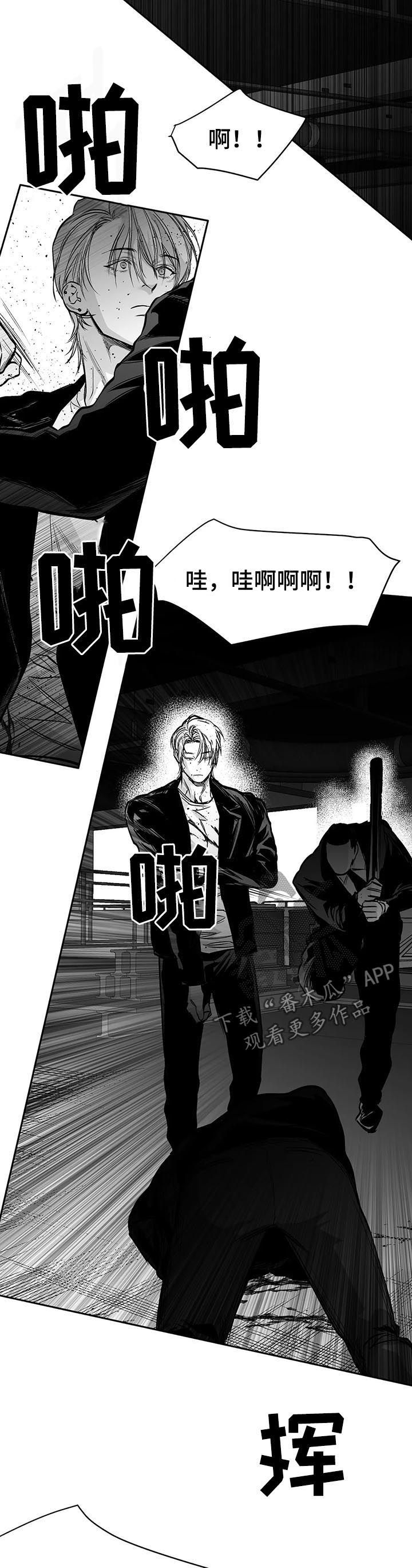 拳击手和吸血鬼动漫在线观看十二集漫画,第119话2图