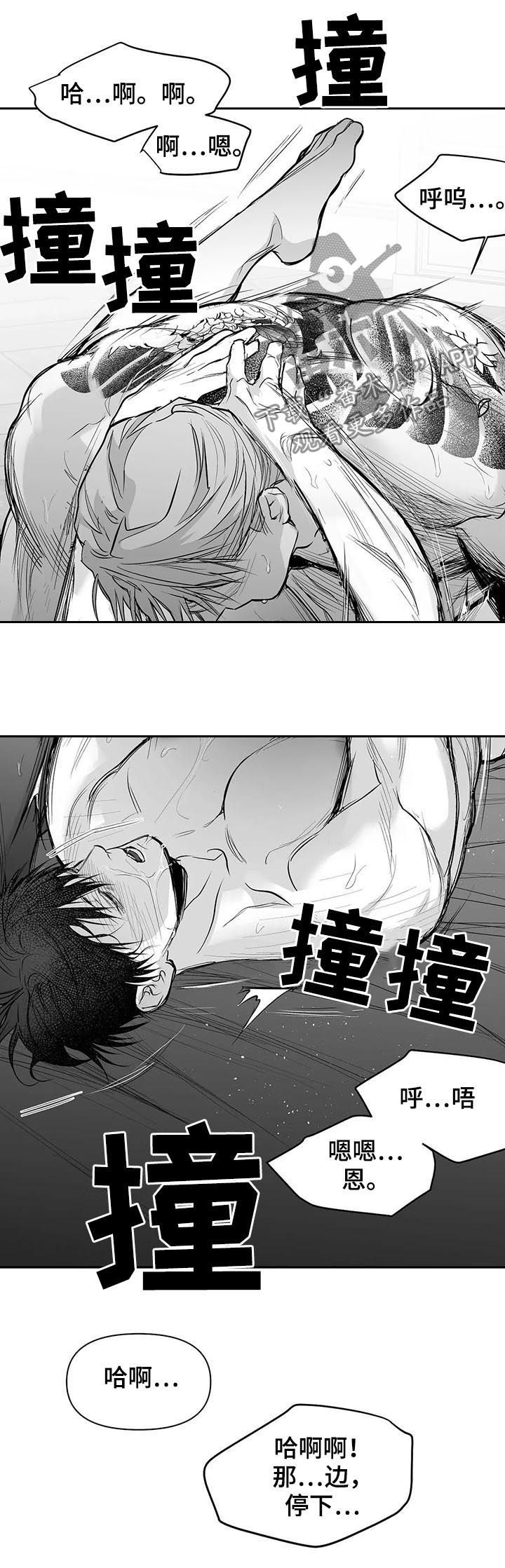 拳击手先生轻点宠漫画,第112话4图