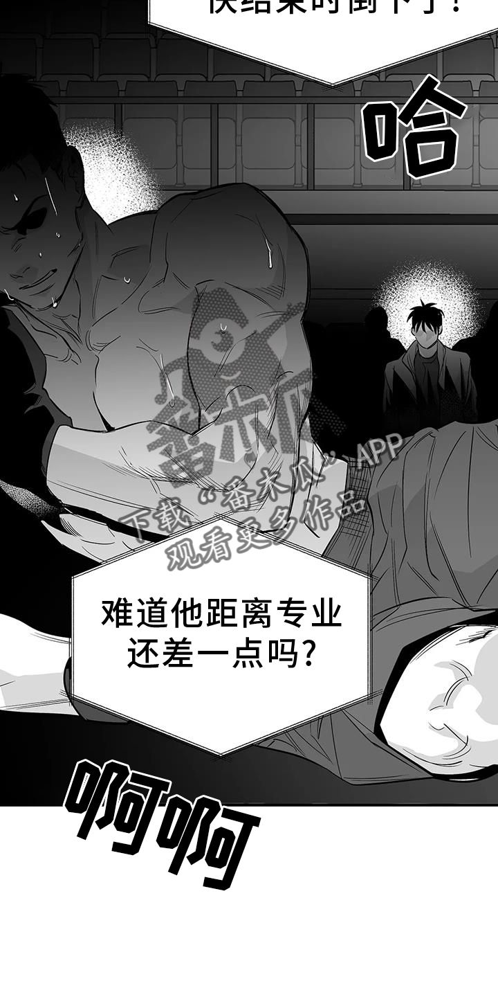 拳击手哈利夫是男还是女漫画,第227话4图