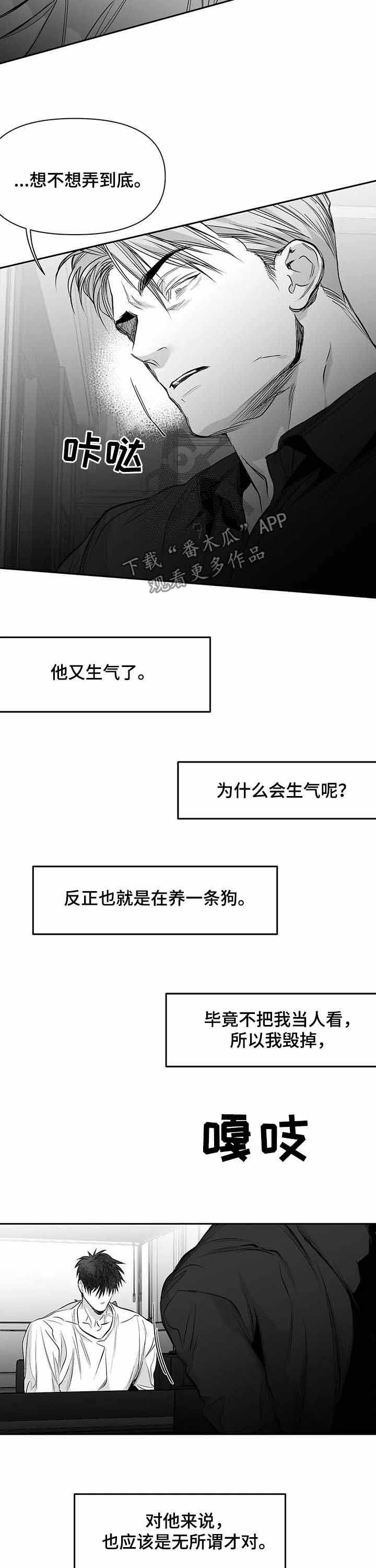 拳击手和吸血鬼动漫在线观看漫画,第143话2图