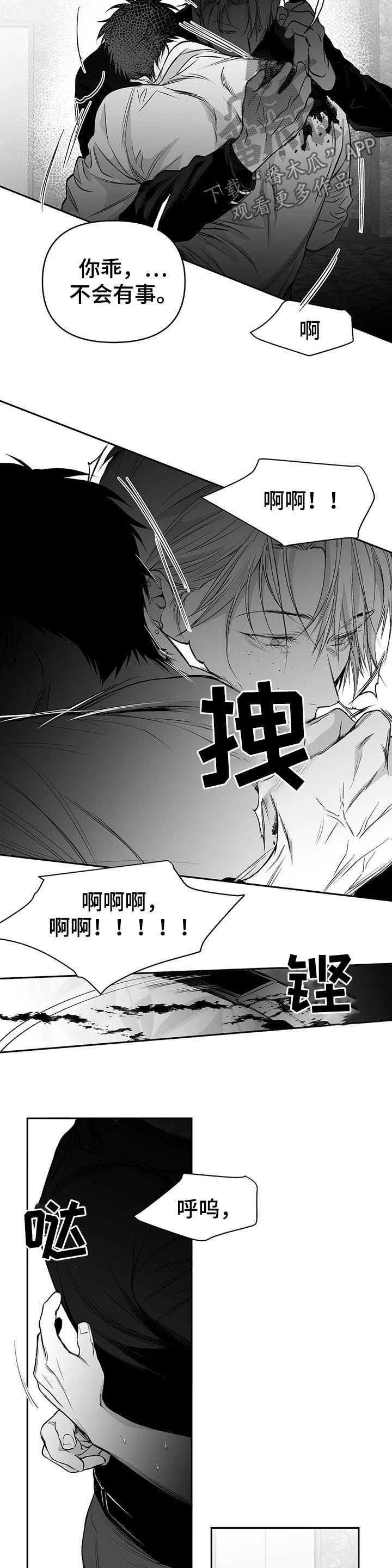 拳击手和吸血鬼动漫在线观看漫画,第87话4图