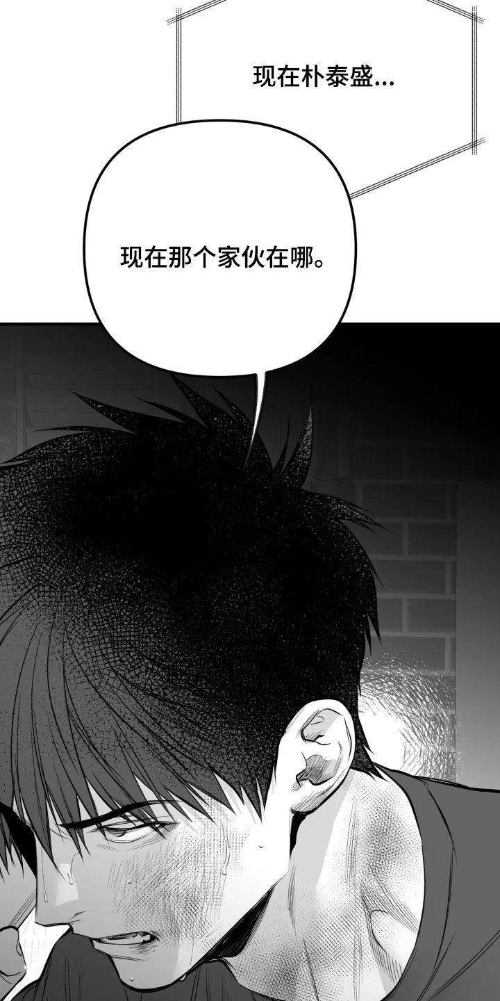 拳击手套英文漫画,第259话5图