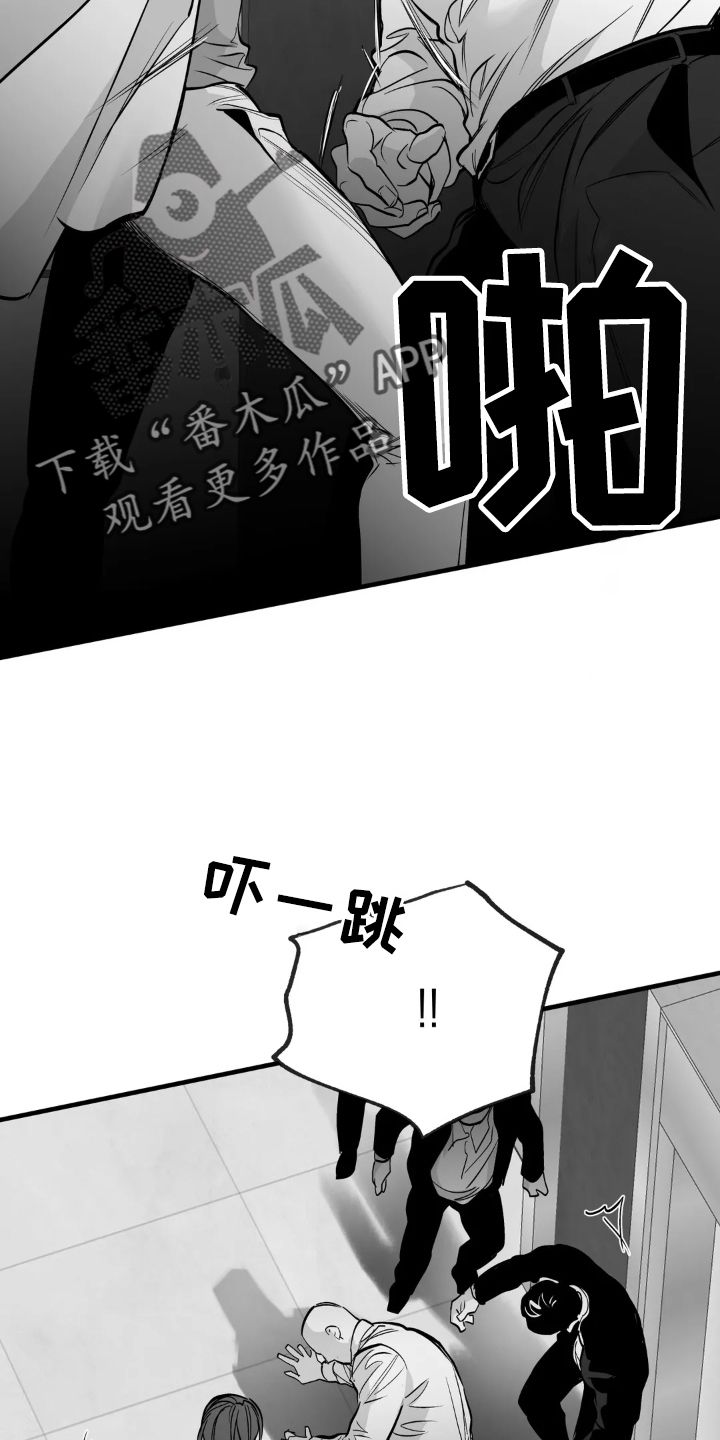 拳击手的耳朵漫画,第250话5图