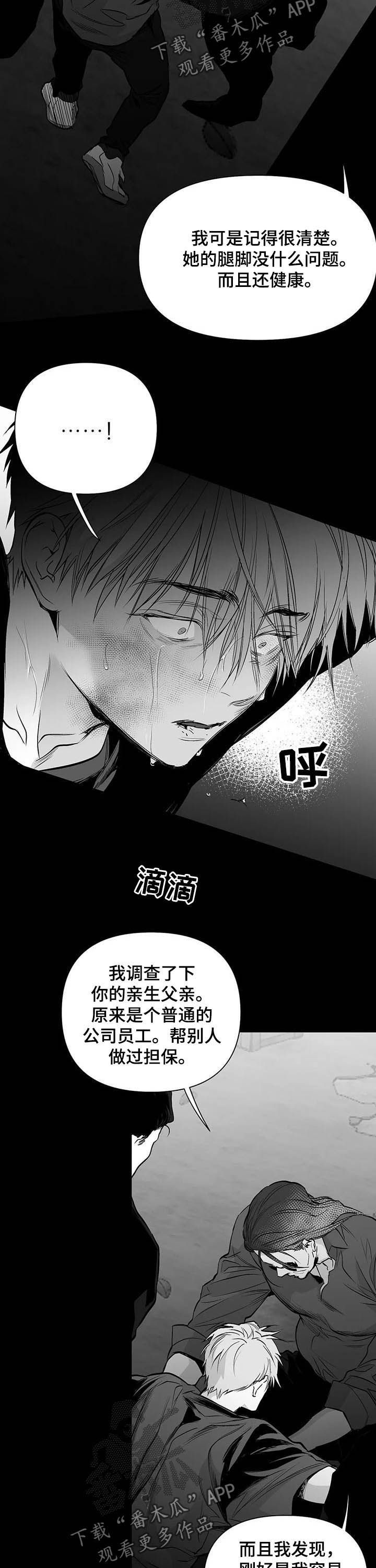 拳击手套尺寸对照表漫画,第137话2图