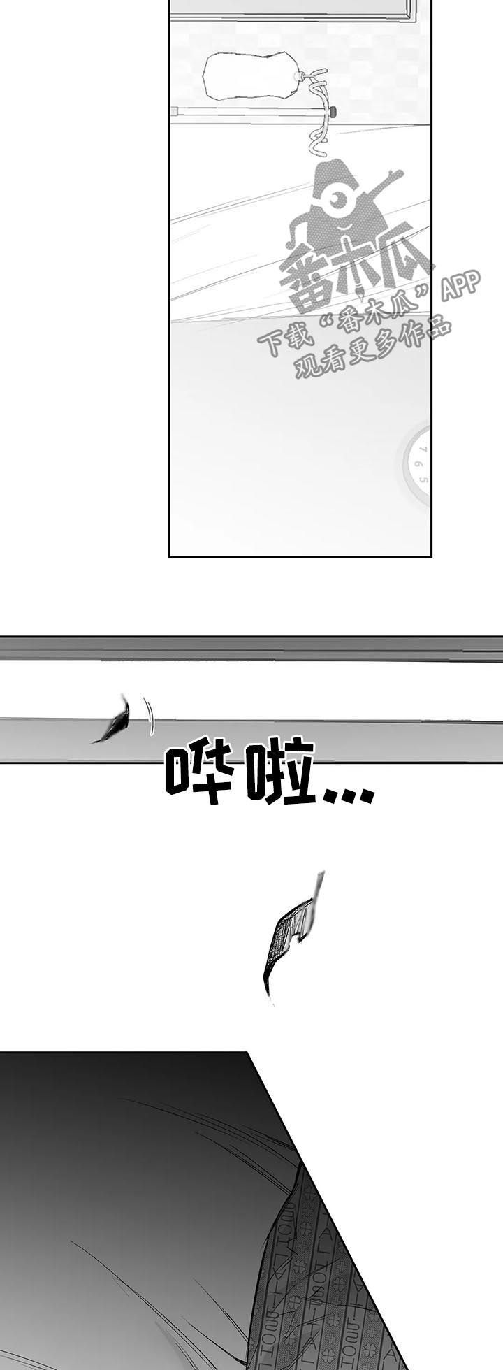 拳击手维尔德漫画,第88话2图