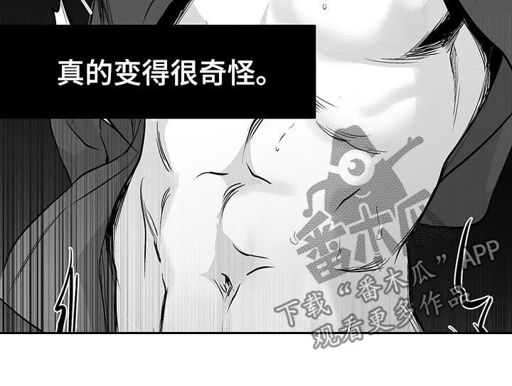 拳击手绷带缠法漫画,第81话1图