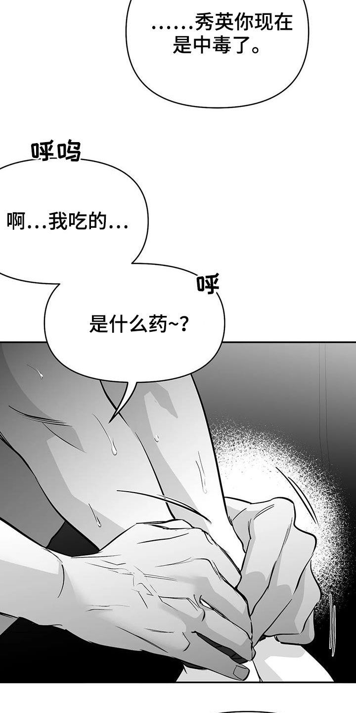 拳击手套多少钱一双漫画,第186话3图