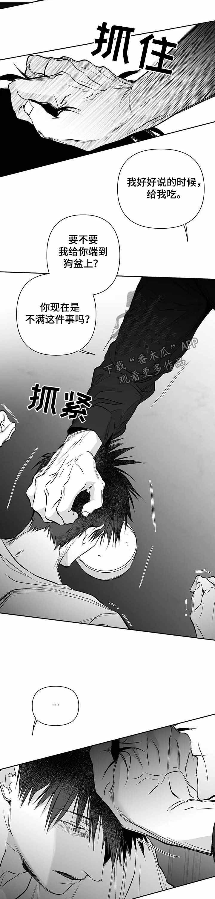 拳击手先生轻点宠漫画,第143话1图