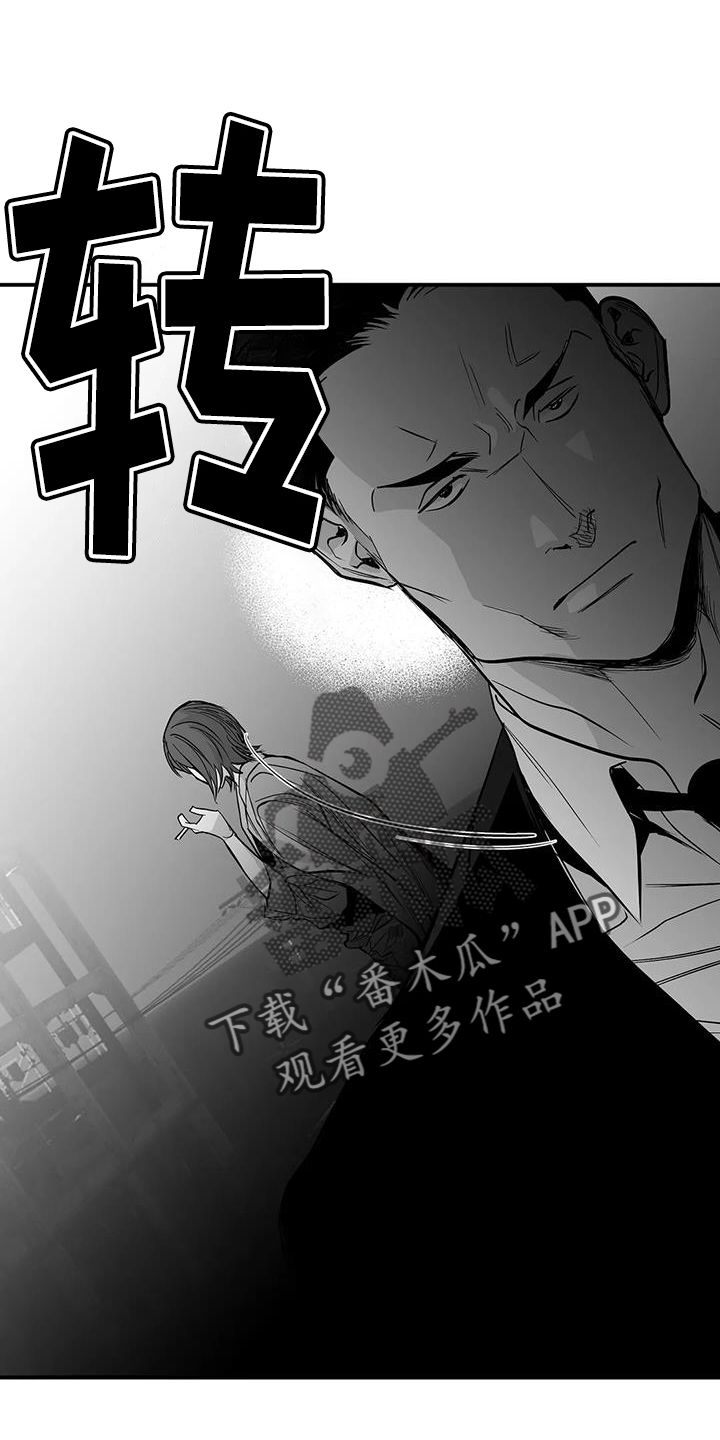 拳击手张伟丽近况漫画,第223话4图