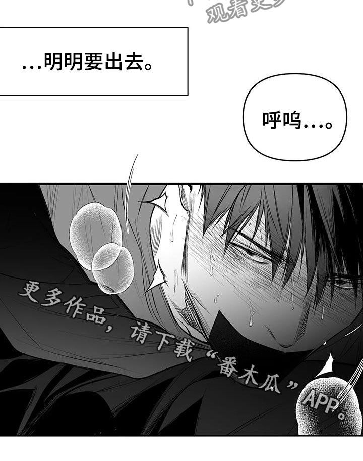 拳击手卡通图片漫画,第184话3图