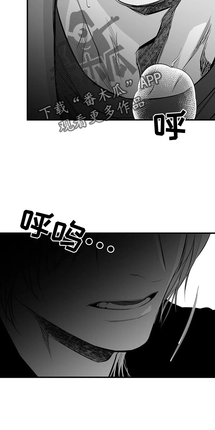 拳击手套儿童漫画,第232话1图