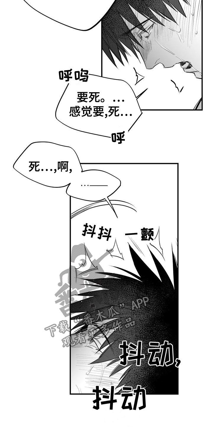 拳击手哈利夫是男还是女漫画,第190话1图