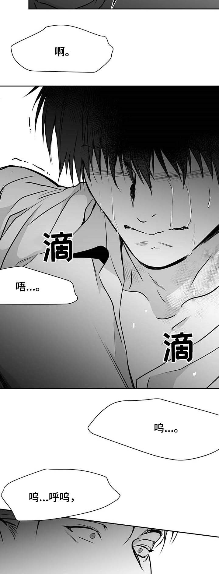 拳击手套哪个品牌最好漫画,第70话5图