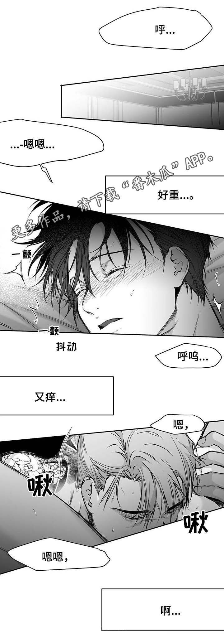 拳击手维尔德漫画,第73话1图