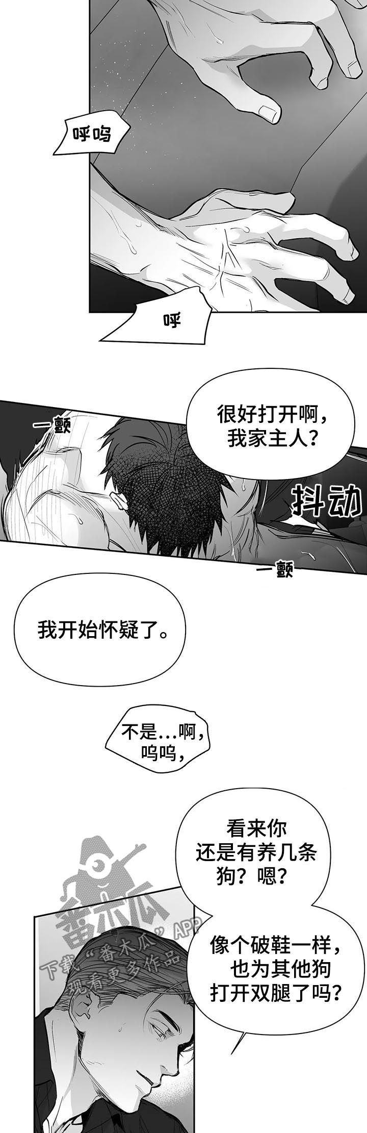 拳击手维尔德漫画,第111话2图