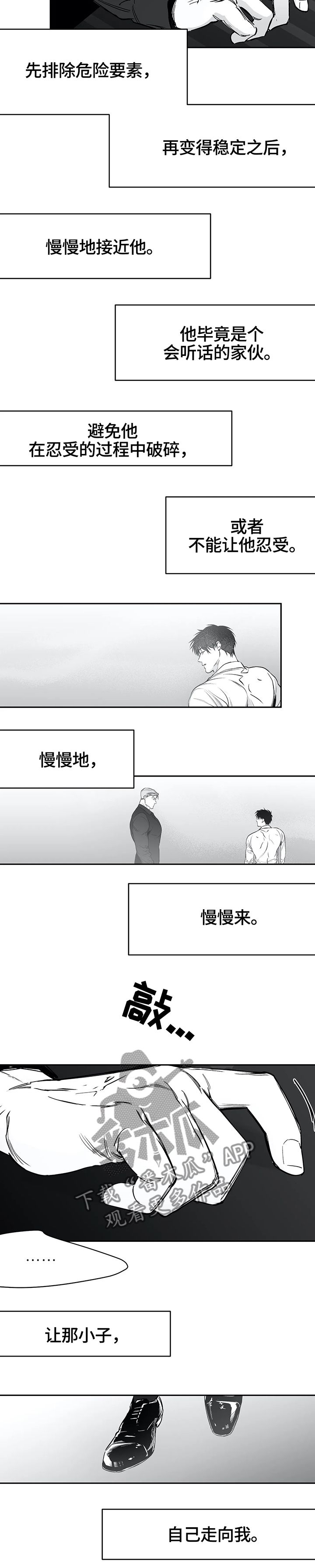 拳击手维尔德年龄漫画,第52话3图