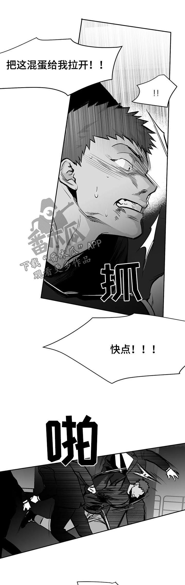 拳击手套品牌漫画,第118话2图