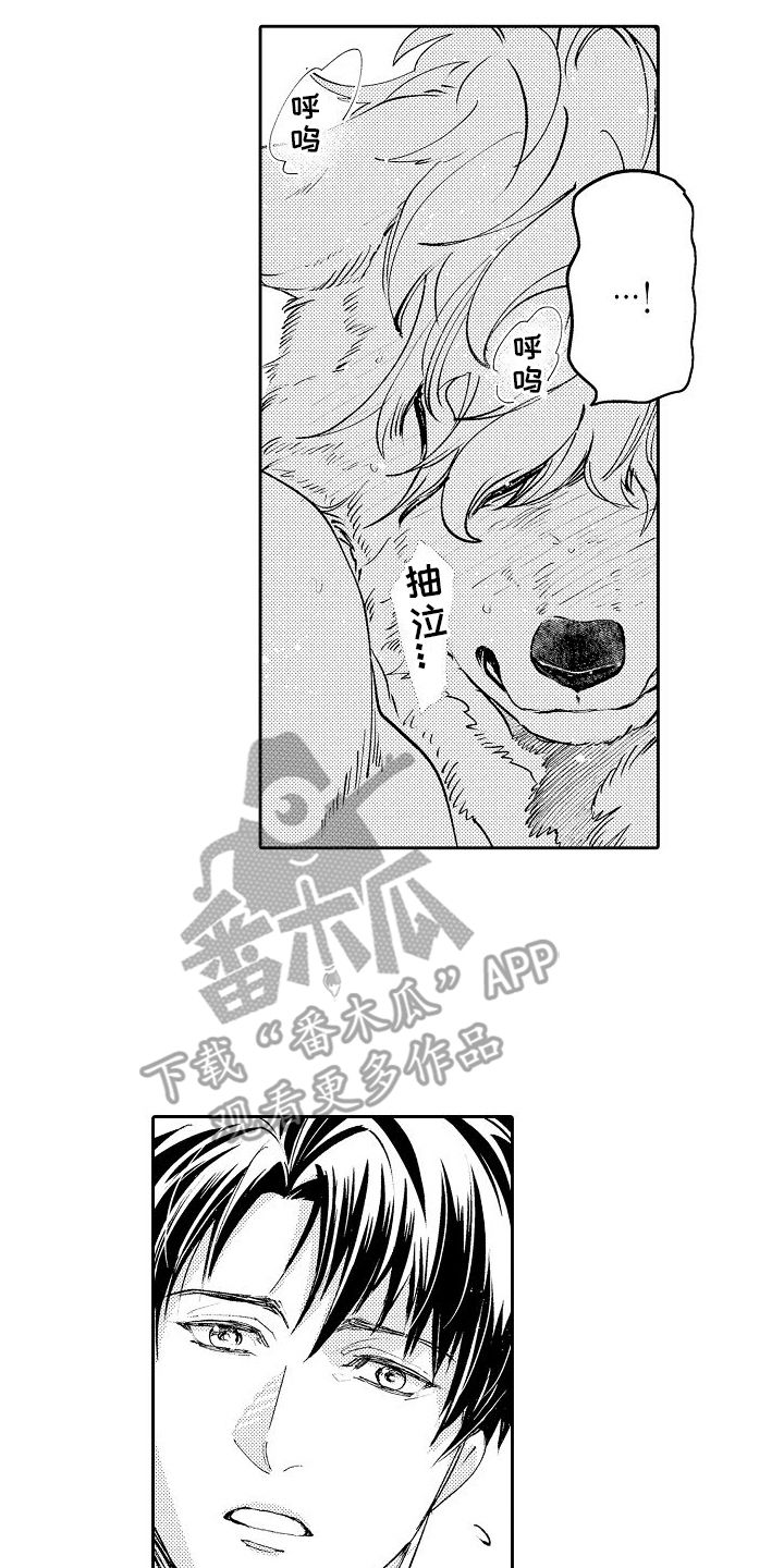 巧克力饼干蜡笔小新漫画,第4话1图