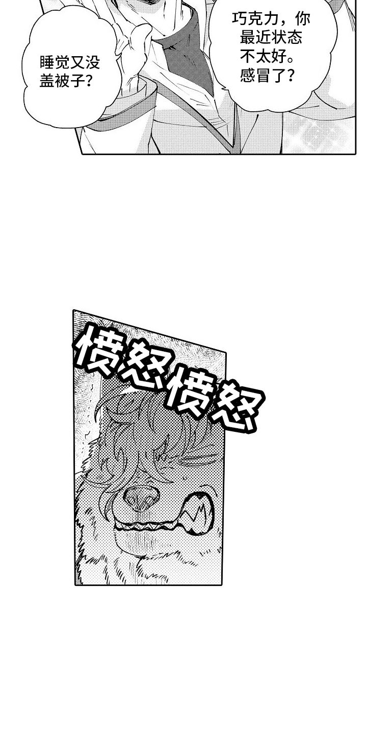 巧克力饼干热量高吗漫画,第1话5图